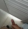 foto do perfil alexrangel